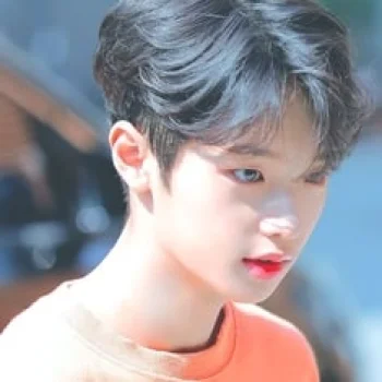 Son Dong-pyo
