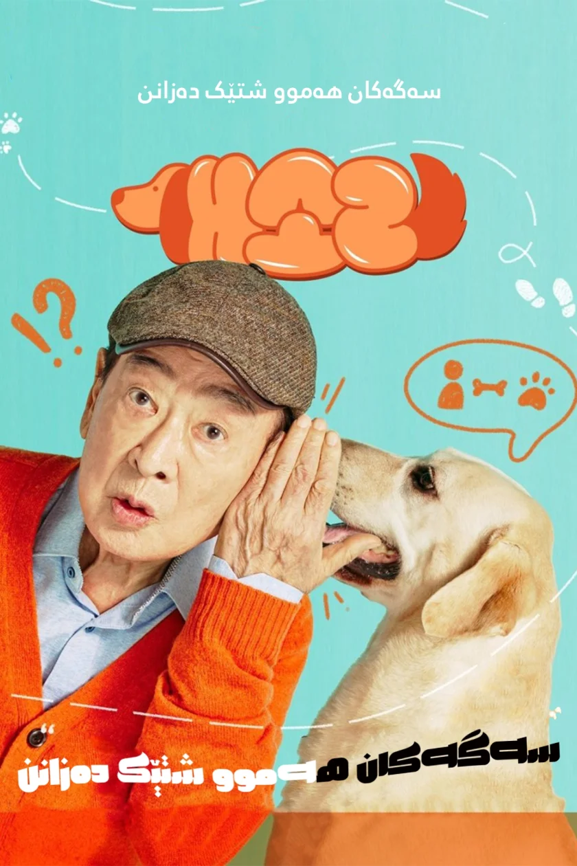 Dog Knows Everything