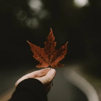 ژیان حسێن